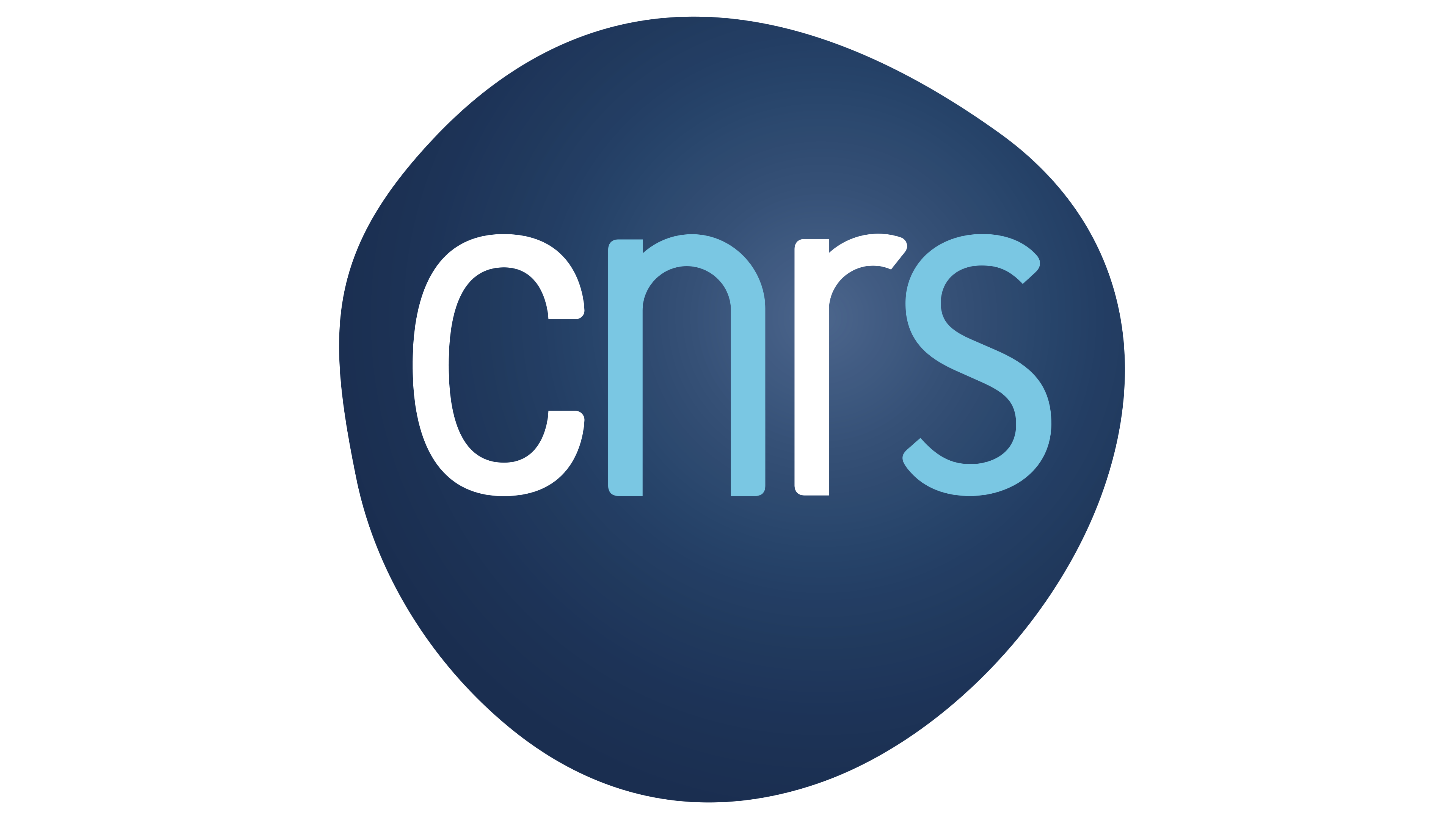logo cnrs
